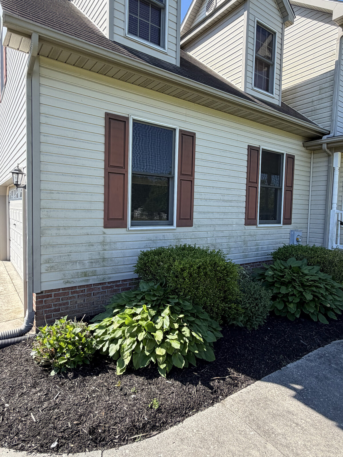 Home siding with algae and dirt before soft wash